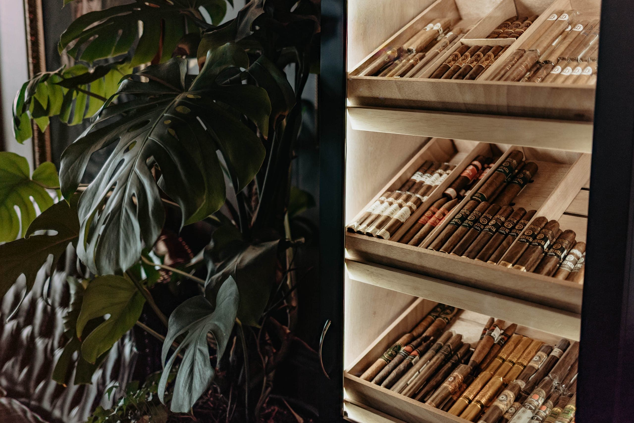 Royal Cigar Lounge
